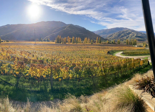 Domain Road Vineyard-Bannockburn必去景点