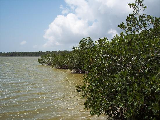 West Lake Trail-大沼泽国家公园必去景点