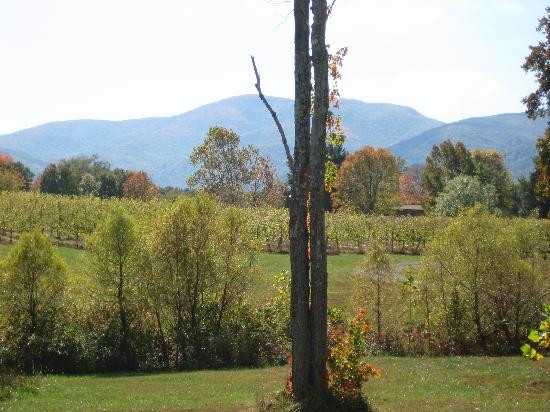 Veritas Vineyard & Winery-Afton必去景点