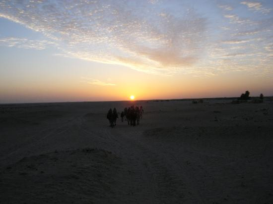 Sahara Desert-杜兹必去景点