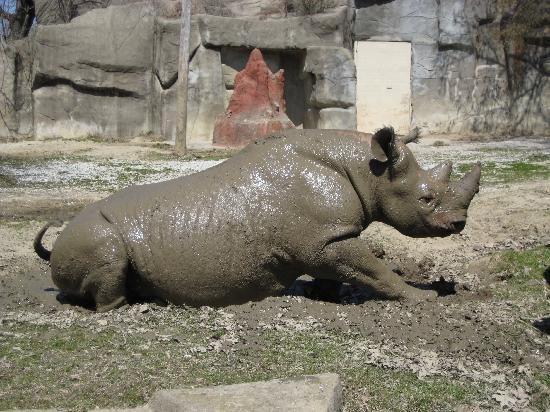 Brookfield Zoo-Brookfield必去景点