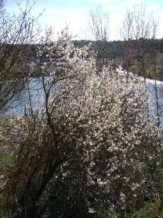Parque Natural Lagunas de Ruidera景点图片