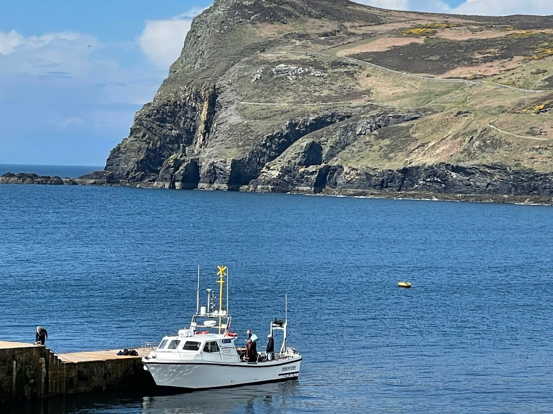Foraging Vintners-Port Erin必去景点