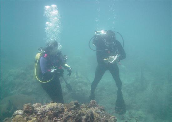 Cabrits Dive Centre-Portsmouth必去景点