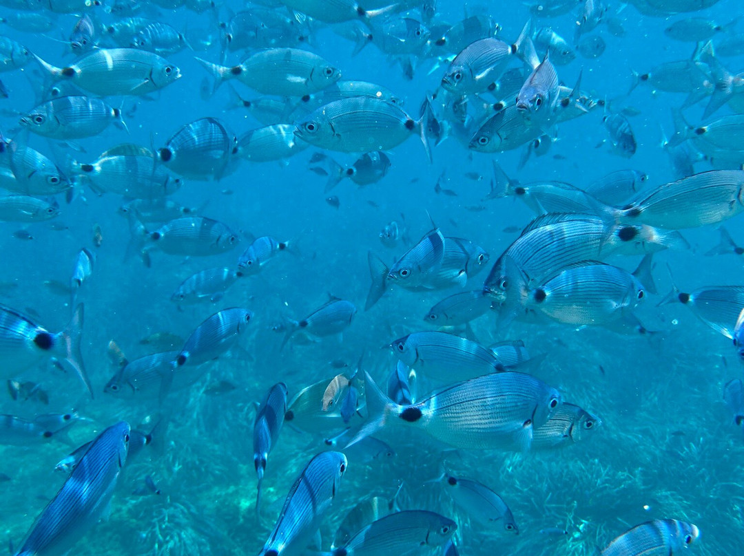Nissaki Bay-Nissaki必去景点