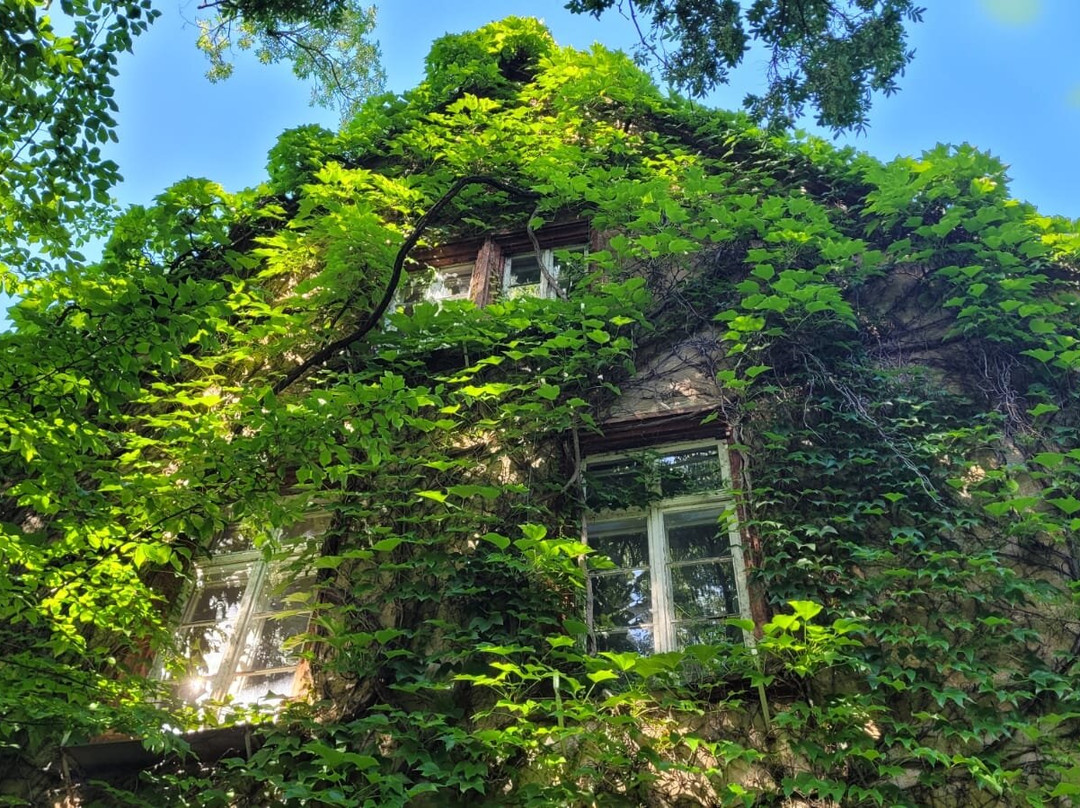 Botanischer Garten Giessen-吉森必去景点