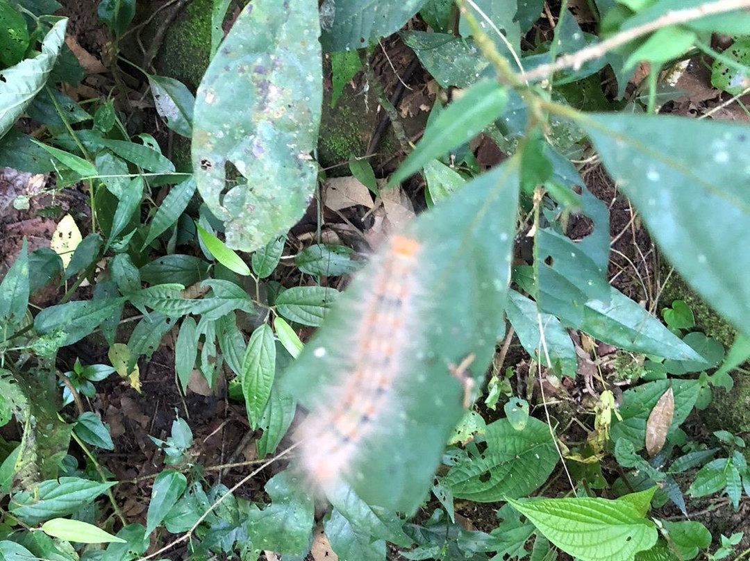 Cachoeira Caceia-Mairipora必去景点