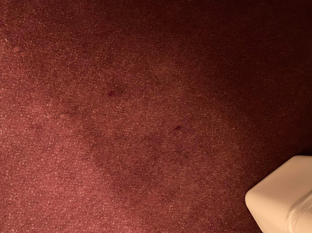 Quality Inn & Suites主图