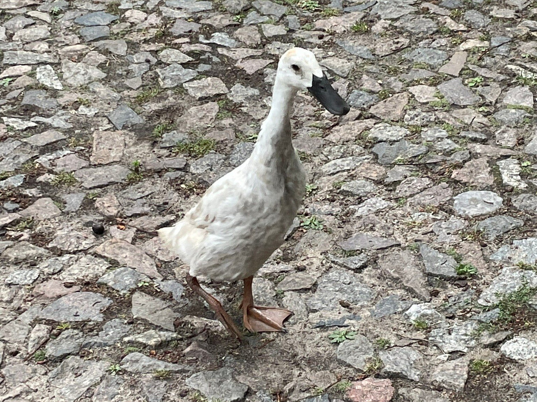 Johannes Larsen Museet-凯特明讷必去景点