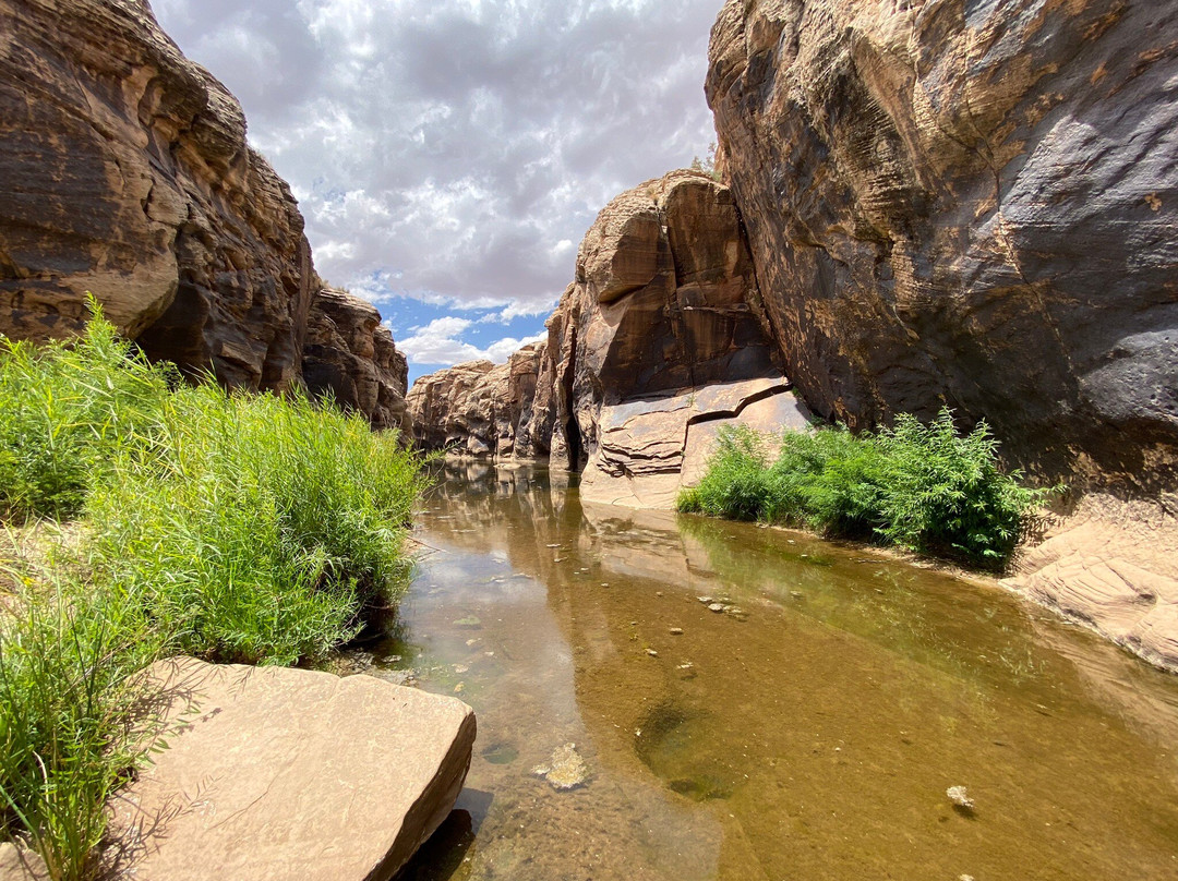 Rock Art Canyon Ranch-温斯洛必去景点