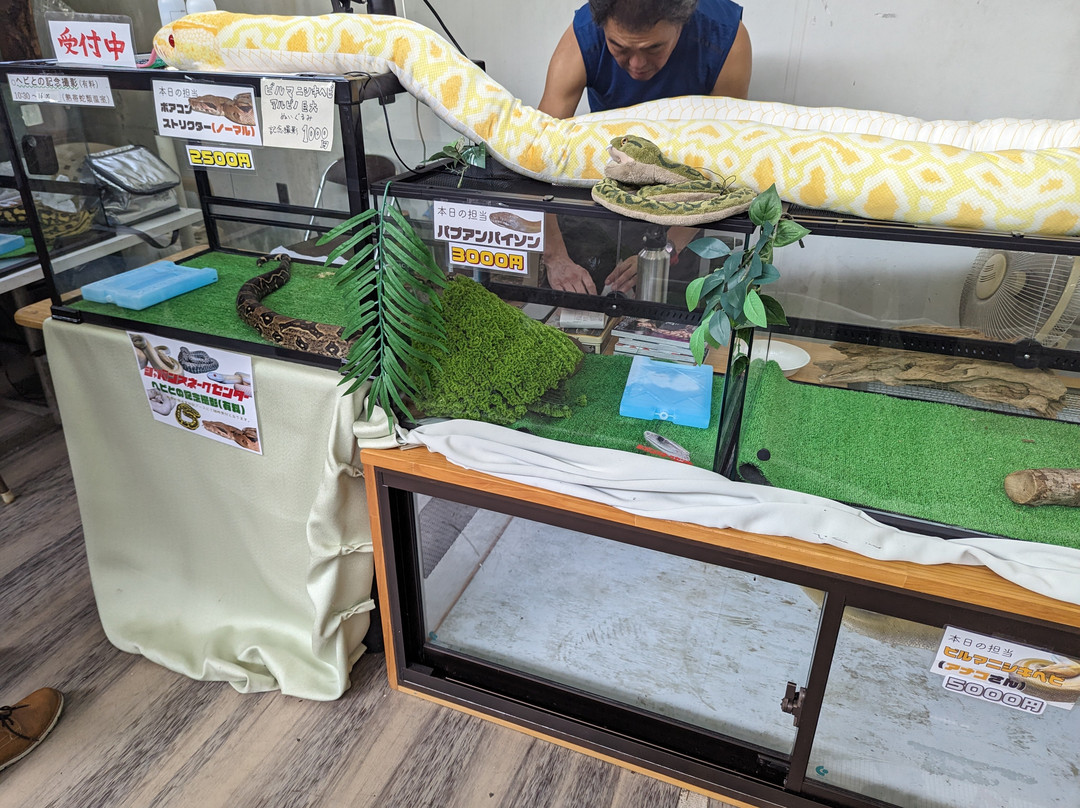 Japan Snake Center-太田市必去景点