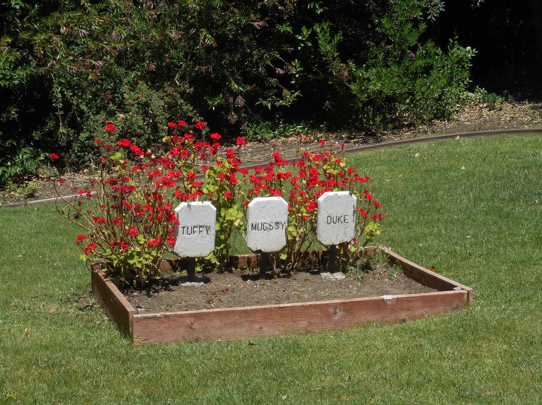 Benicia Arsenal Post Cemetery-贝尼西亚必去景点