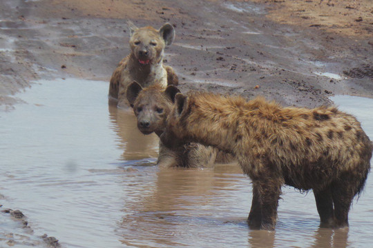 Utmost Travel & Tours-阿鲁沙必去景点