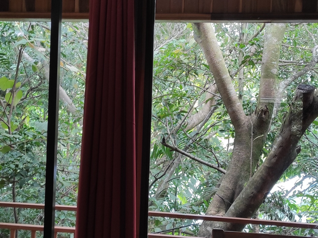 Monteverde Villa Lodge Hotel主图