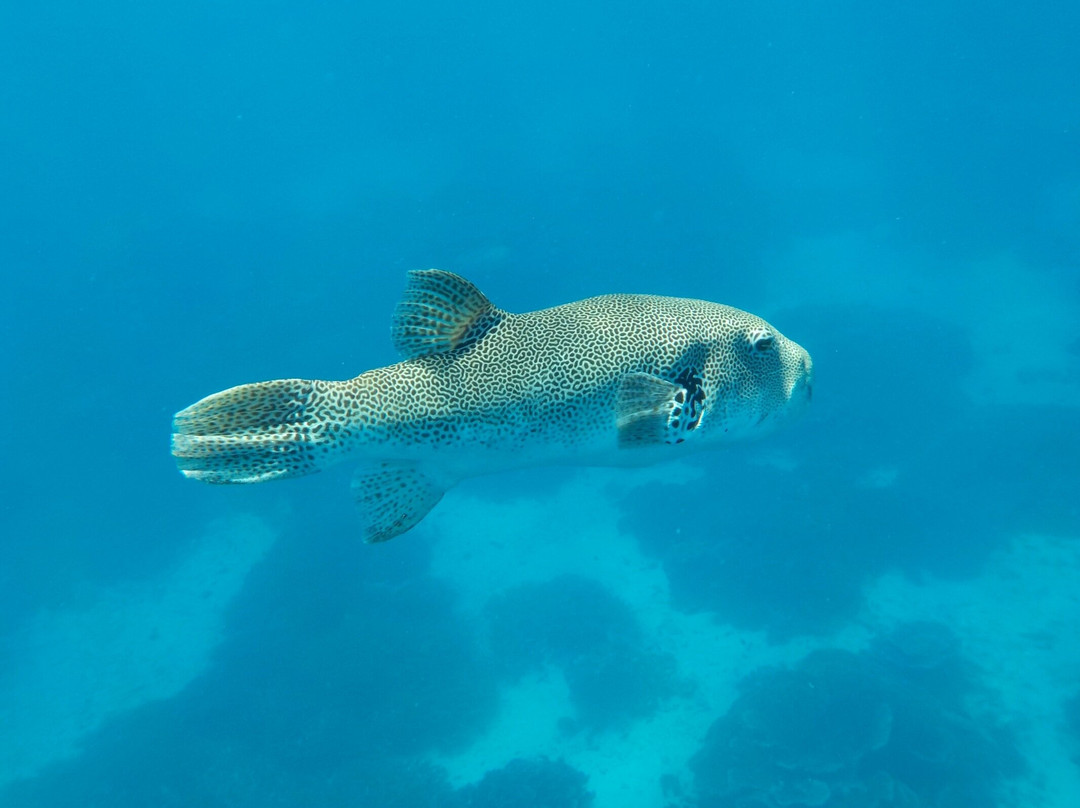 Bintang Komodo Tours-Labuan Bajo必去景点