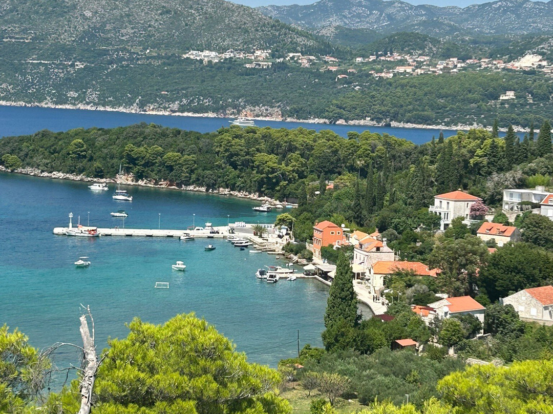 Guest House Oreb主图