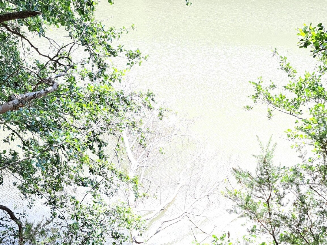 Maries Lakes-Maries必去景点