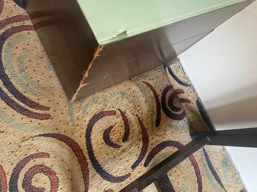 Hotel Patnitop Heights主图