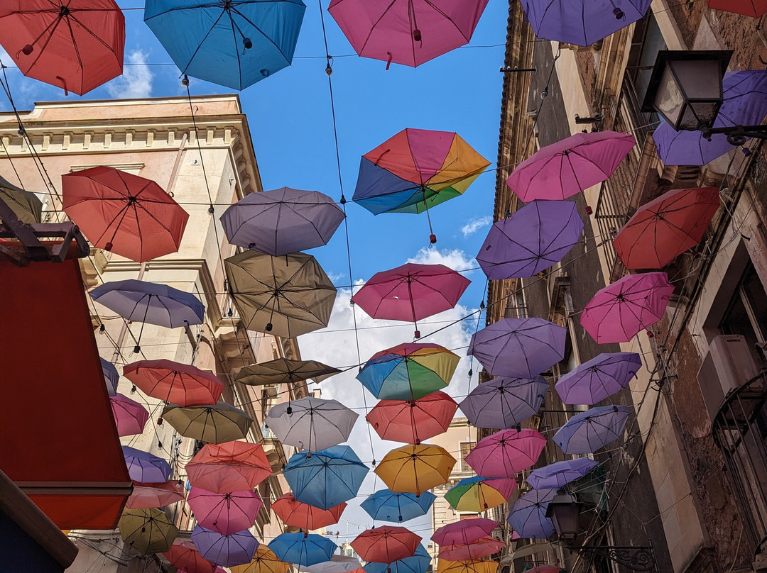 Sicily Guide Giovanni Arena - Day Tours-陶尔米纳必去景点