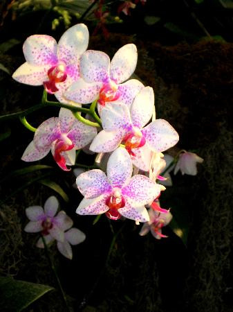 爬虫公园-拉皮德城必去景点