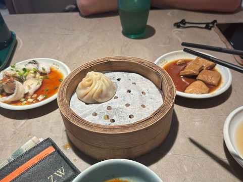 Shanghai Airport Layover Tour-上海市必去景点