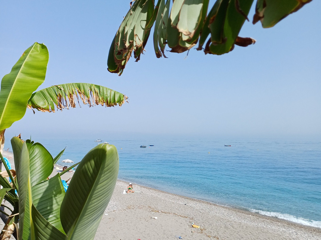 Albatros Beach Hotel主图