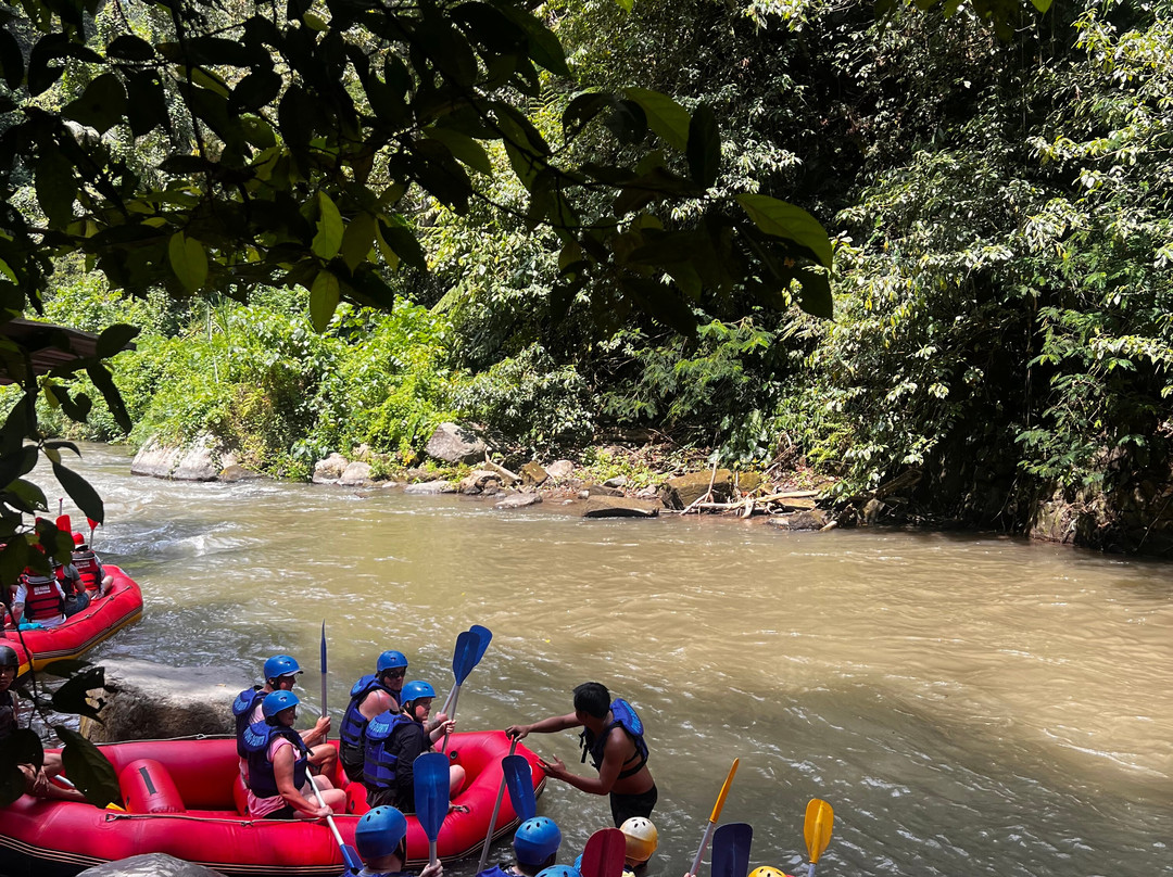 Rafting Ubud Bali-乌布必去景点