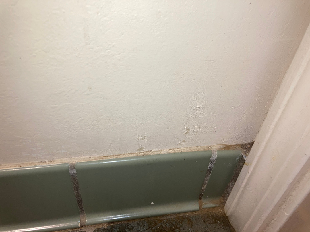 Best Western Salinas Valley Inn & Suites主图