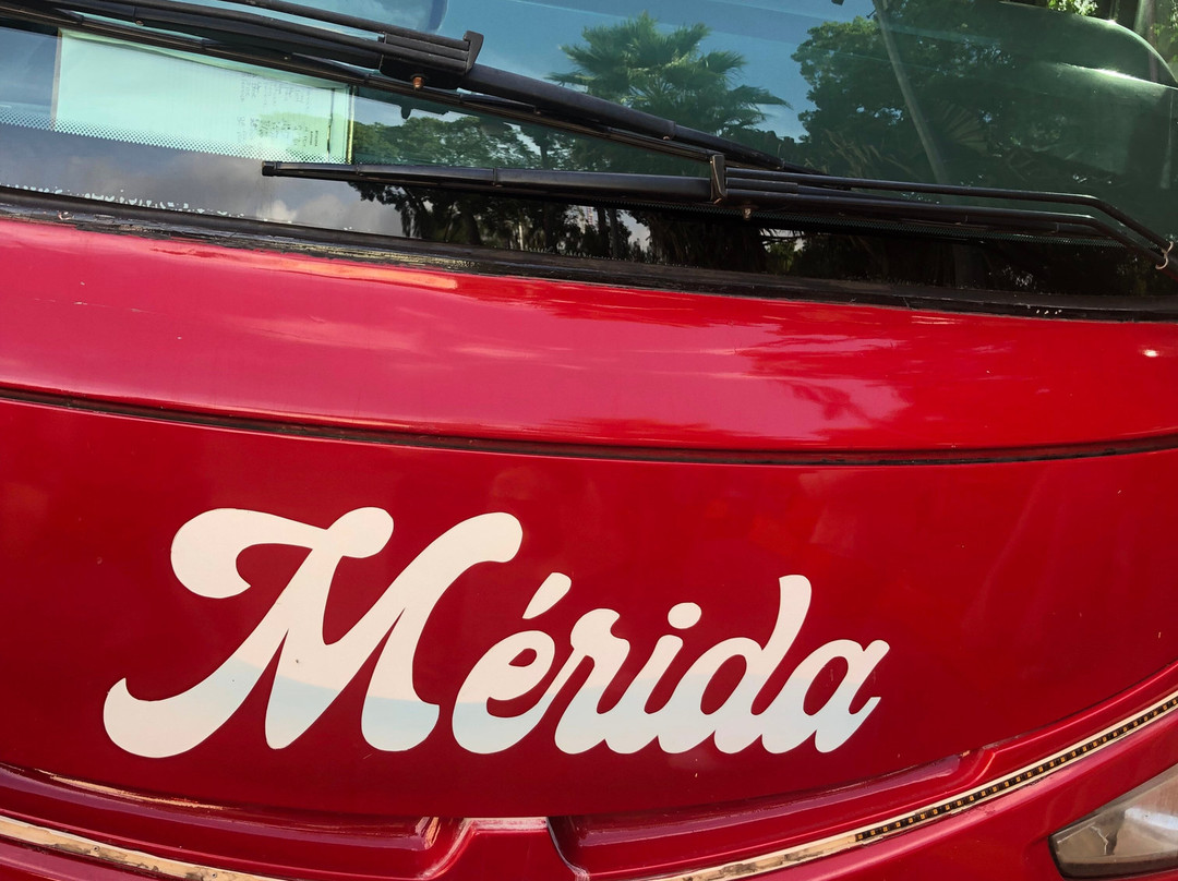 Turibus Merida-梅里达必去景点
