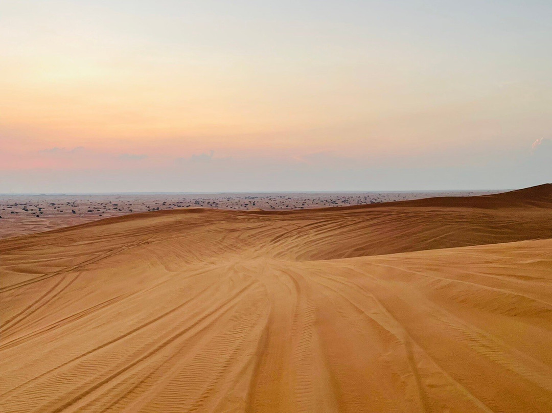 Desert Safari Dubai景点图片