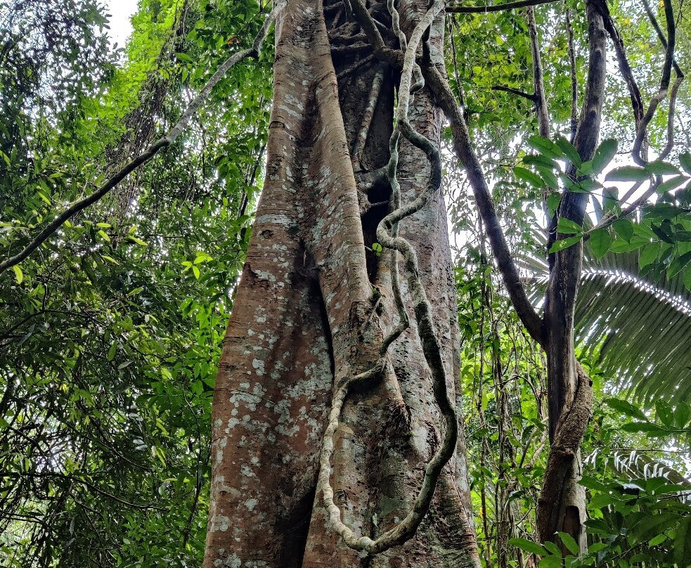 Taksin Maharat National Park-湄索必去景点