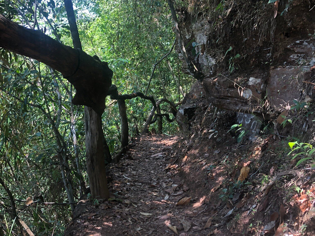 Raizama Waterfall景点图片