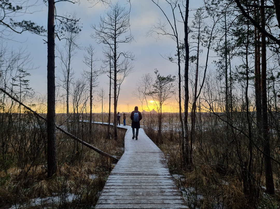 Eco Trail Sestroretskoye Swamp景点图片
