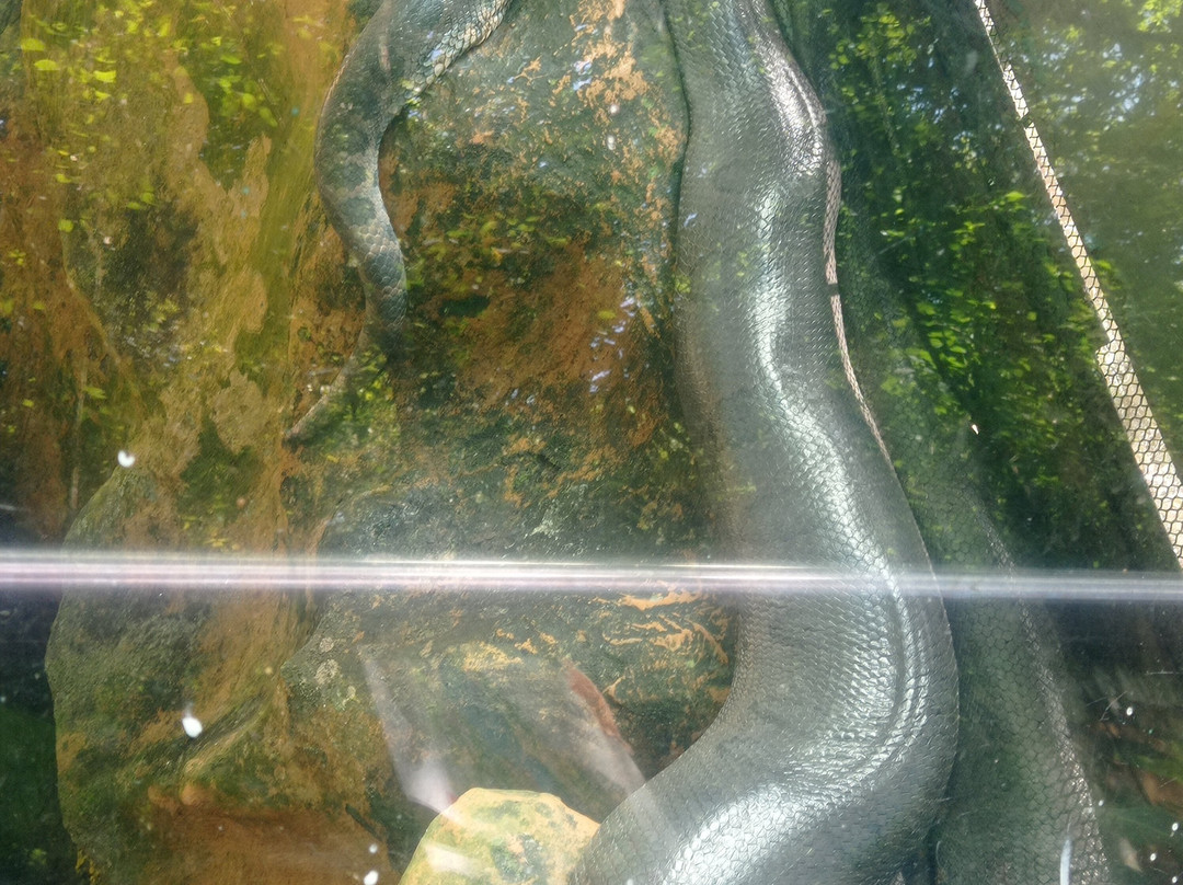 Bioparque Los Ocarros-比亚维森西奥必去景点