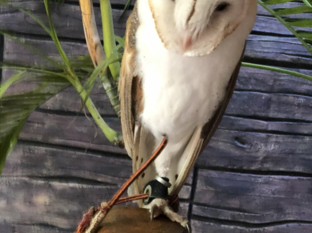 EcoPark Barra Grande-Barra Grande必去景点