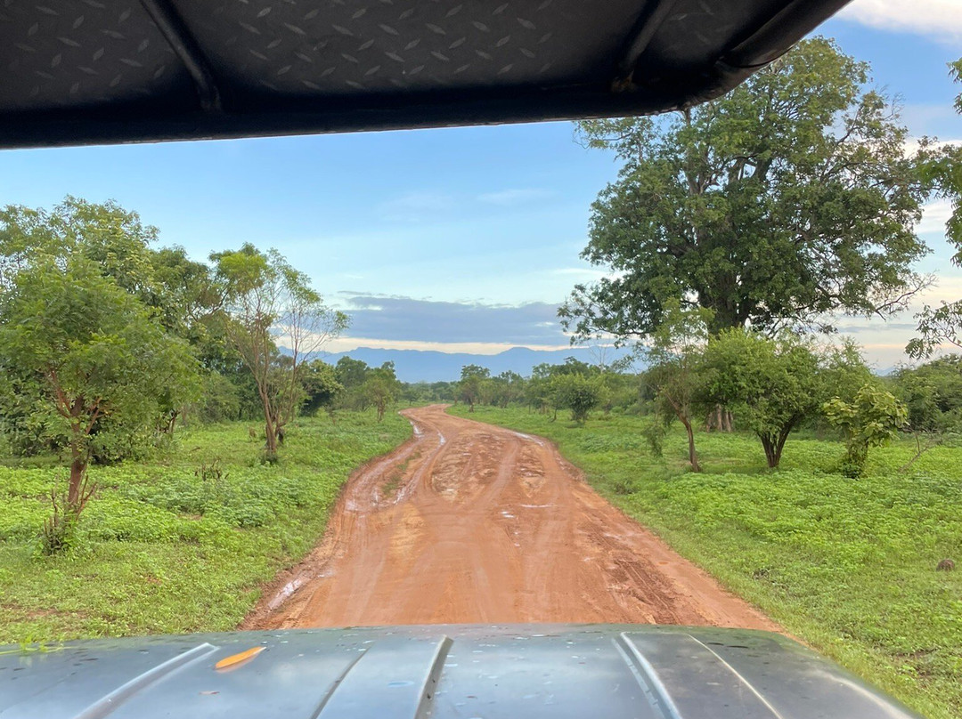 Udawalawe Wild Safari Tours-乌达瓦拉瓦必去景点