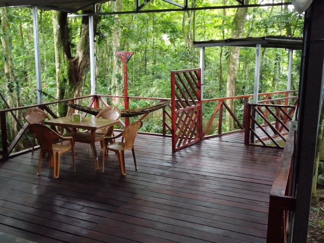 Perla Verde Sarapiquí