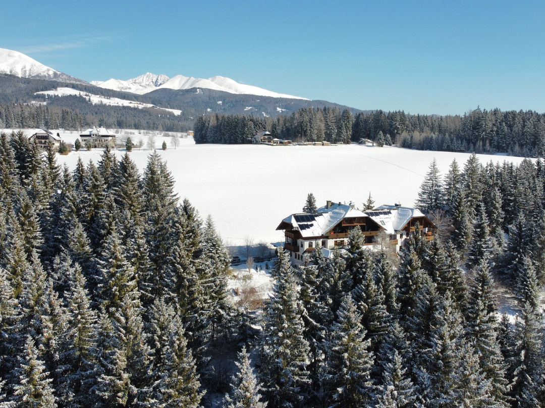 Hotel Gasthof Häuserl im Wald主图