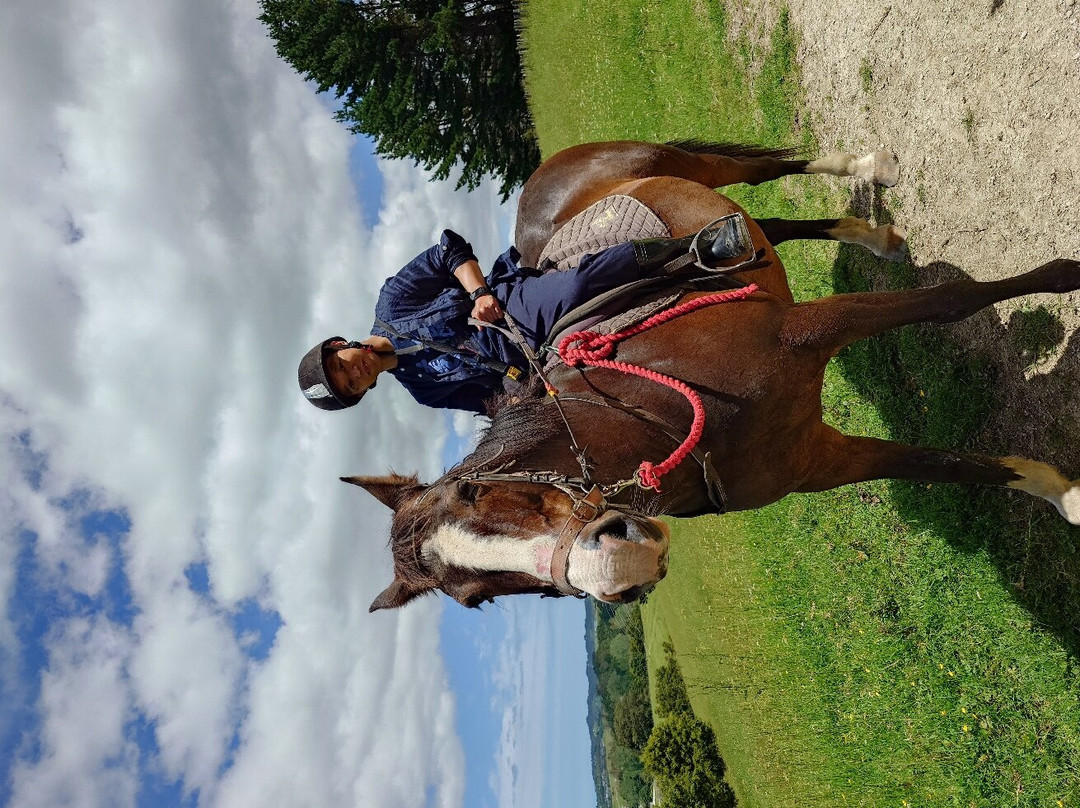 Horse Riding Warkworth-瓦卡沃夫必去景点