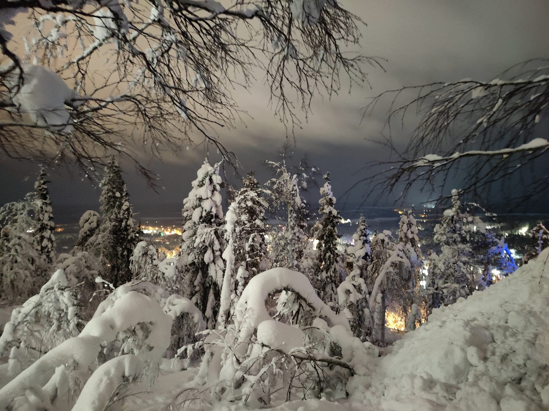 北极圈标线雪地公园-罗瓦涅米必去景点