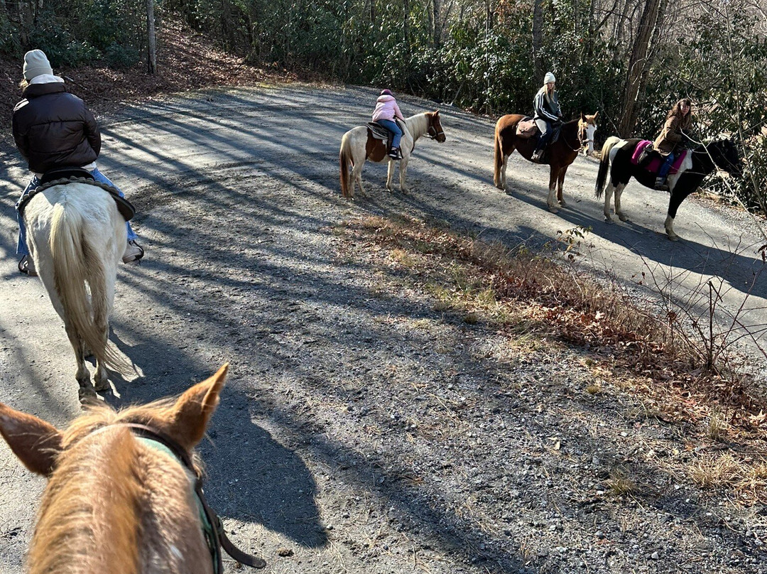 End of the Trail Horseback Riding景点图片