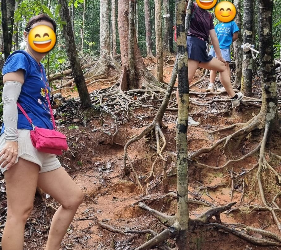 Gunung Lambak-居銮必去景点