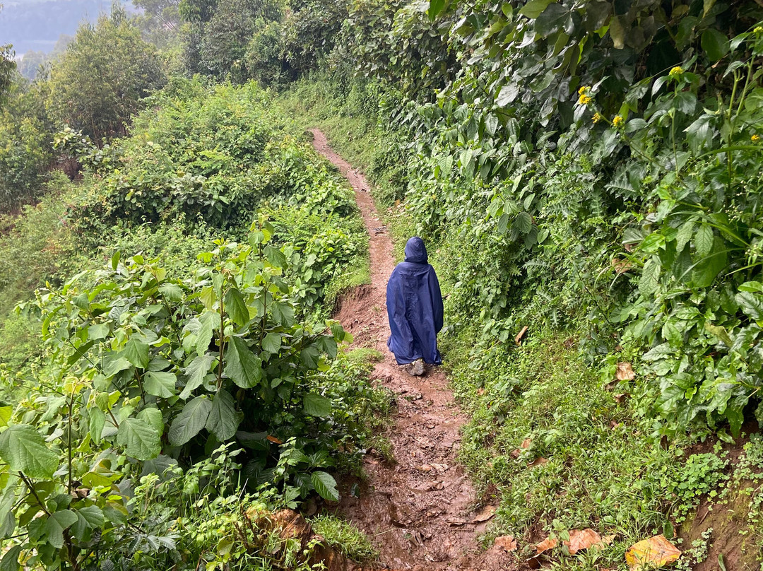 Gorilla Highlands-卡巴莱必去景点