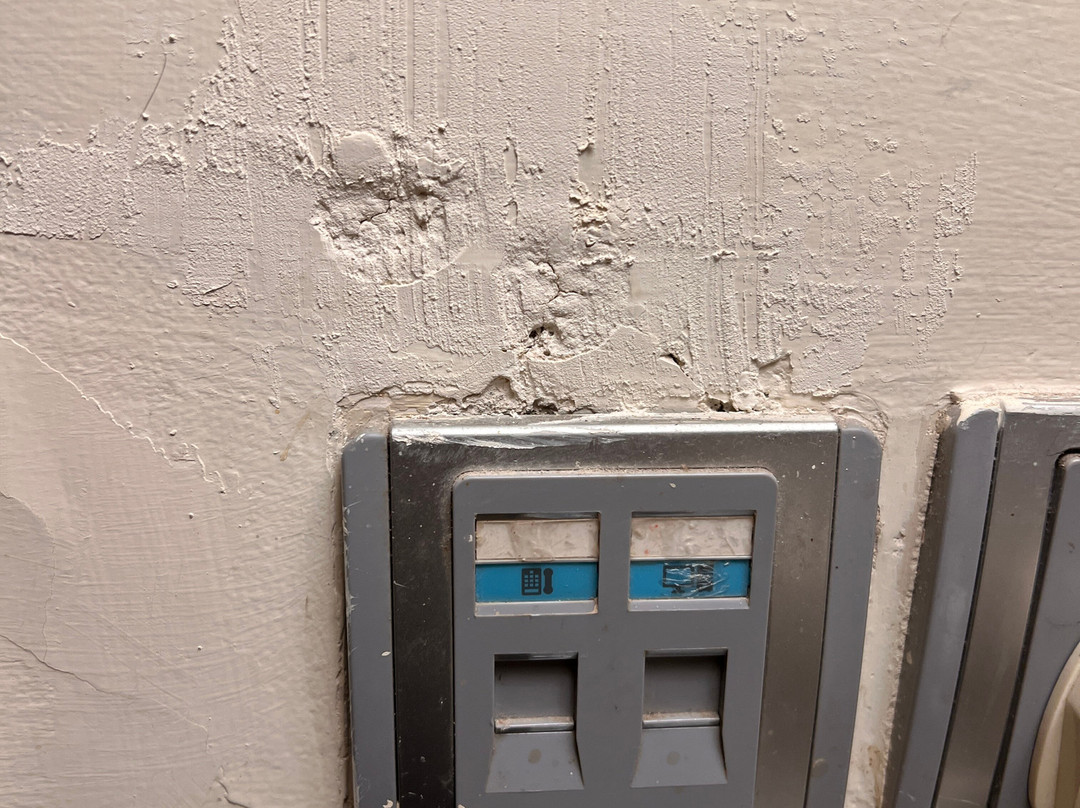 皇家兰花比林达瓦酒店主图