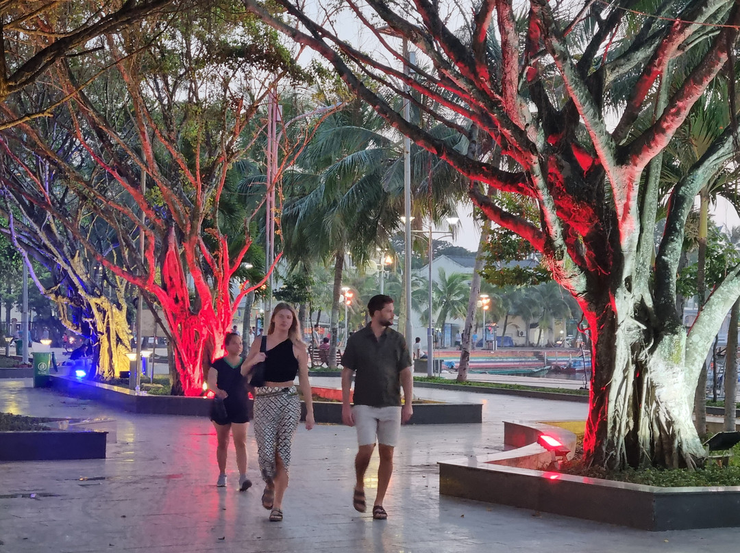 Bach Dang Park (Dinh Cau)-扬东必去景点