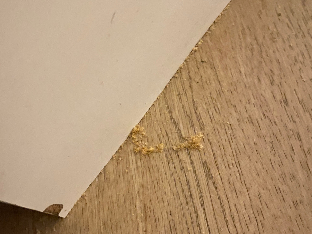 Cedars Inn Hotel & Convention Centre主图