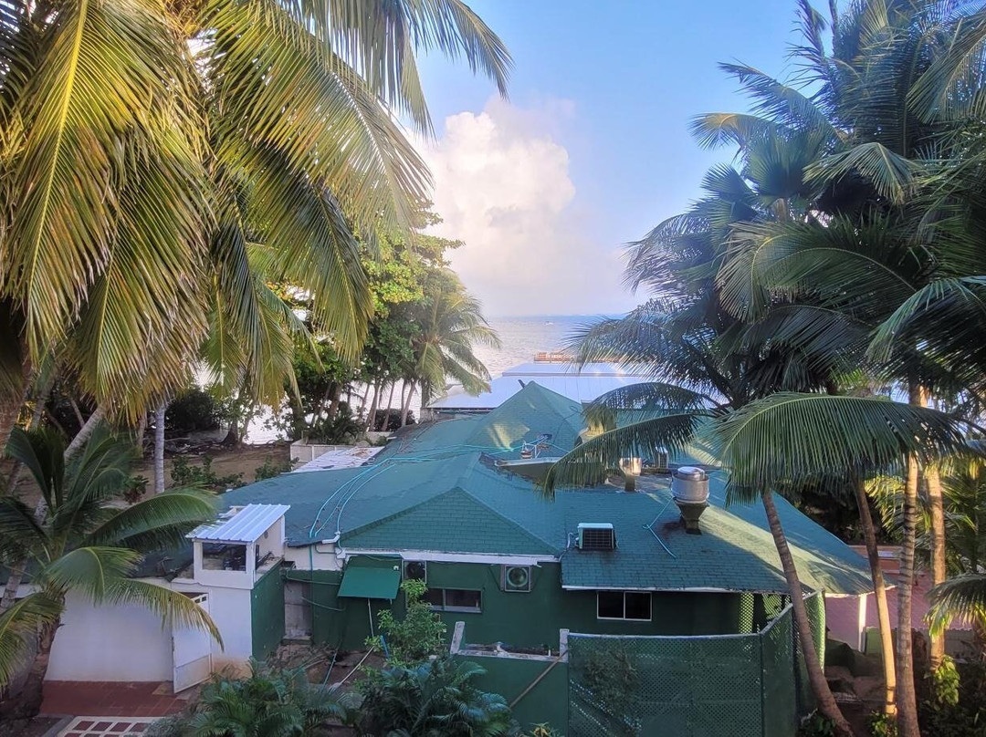 Decameron Marazul主图