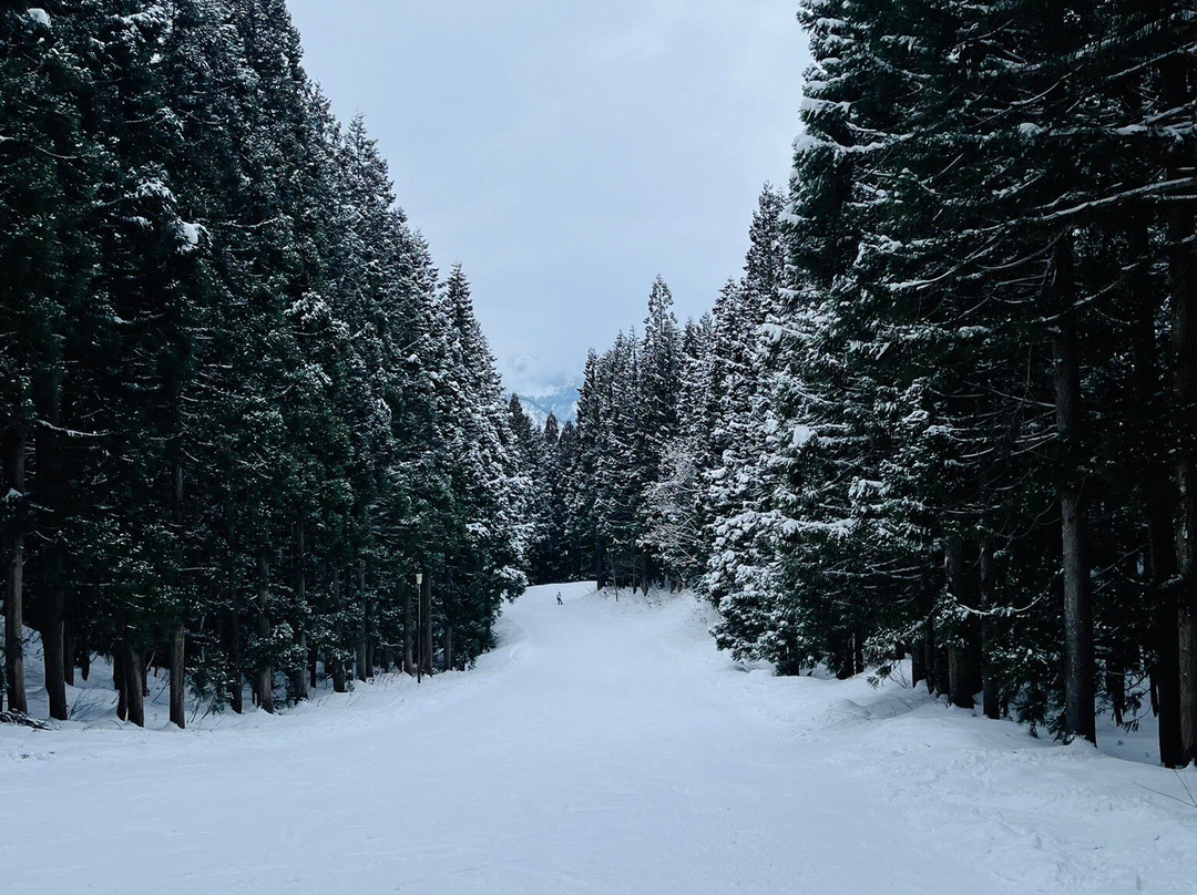 Yuzawa Park Ski Resort景点图片