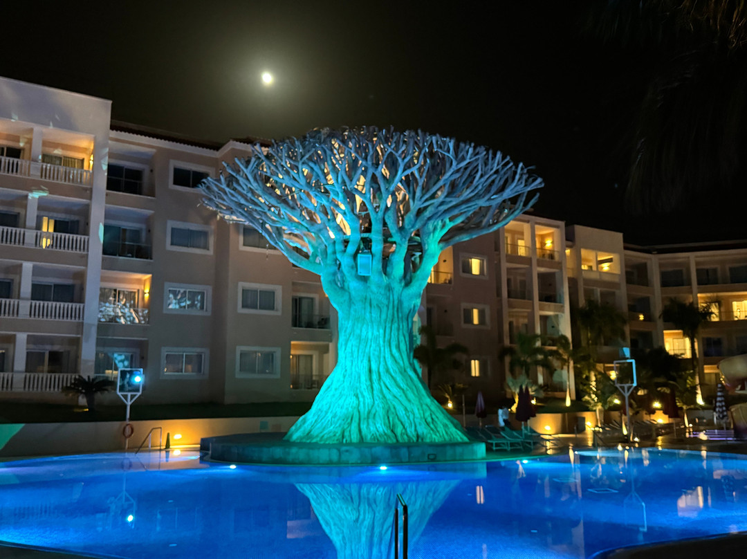 Bahia Principe Fantasia Tenerife主图