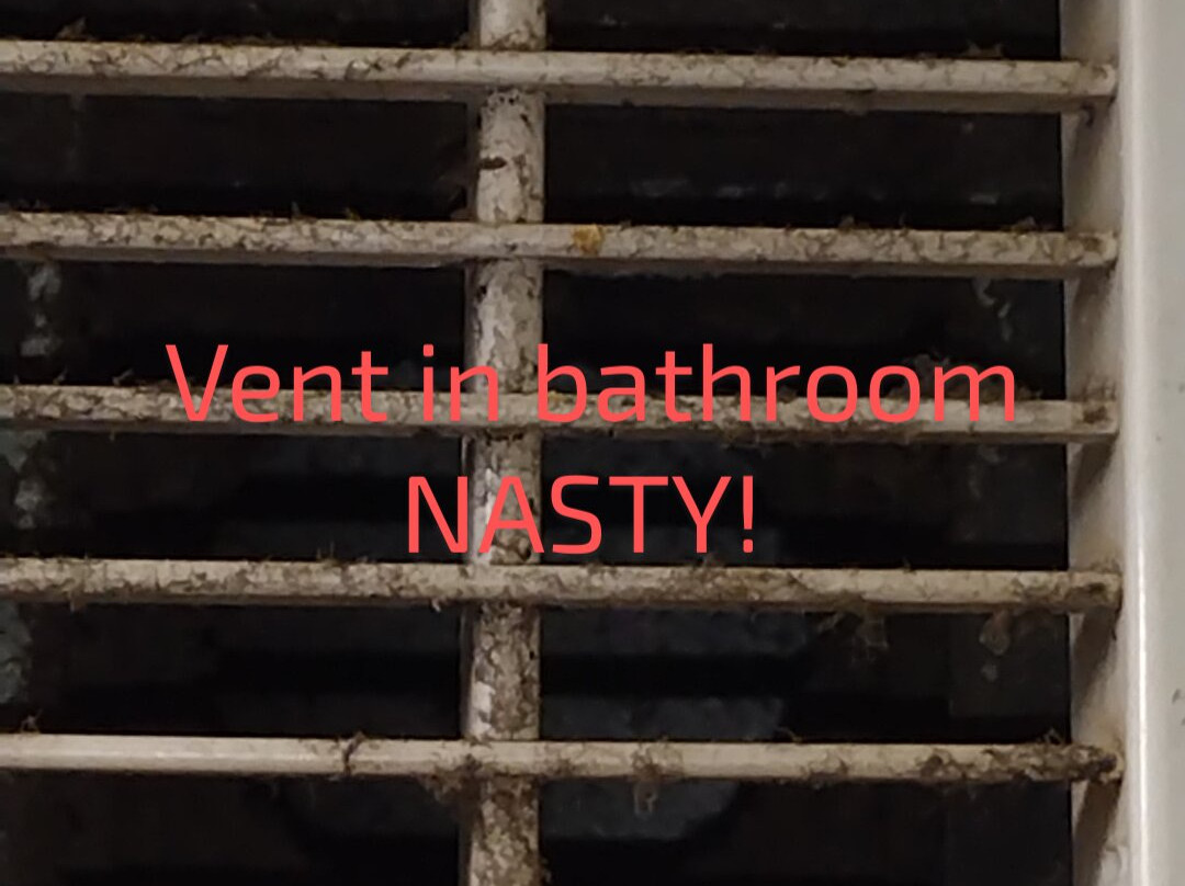 Quality Inn Reidsville Hwy 29主图